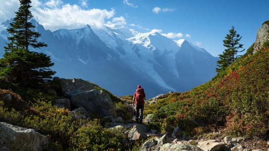 Hiker with a red backpack trekking through a mountainous landscape with lush greenery and snow-capped peaks in the distance.