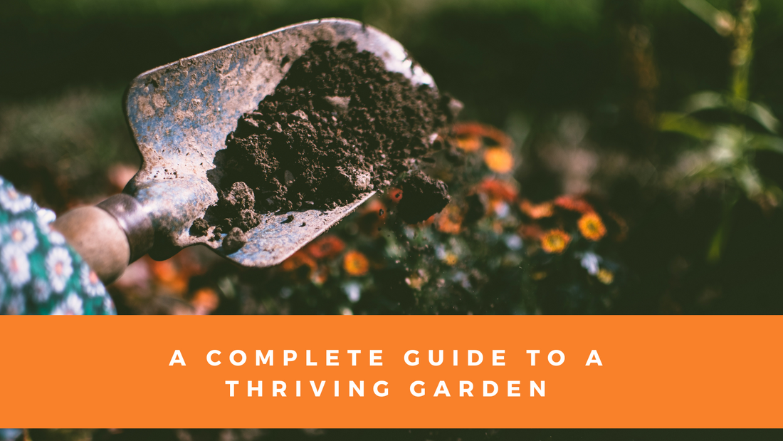 Vegetable Garden for Beginners: A Complete Guide