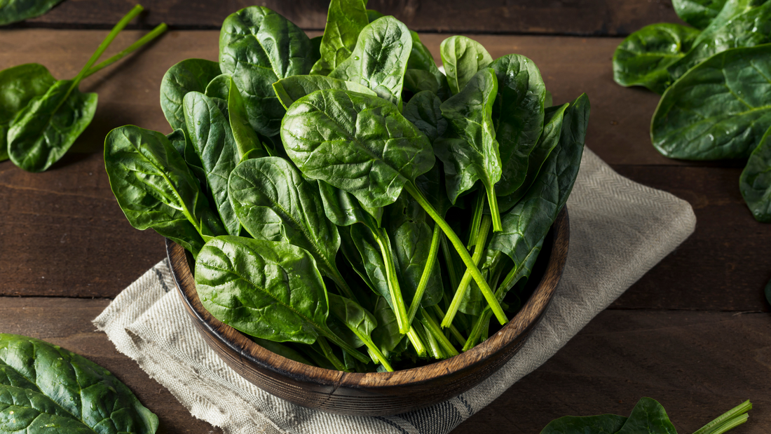 How to Grow Spinach